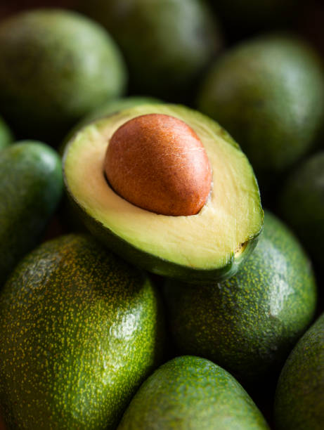 Green Skin Avocado